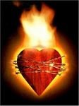 pic for Heart on Fire